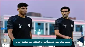محمد عواد يعود تدريجياً لمران الزمالك بعد تعافيه الكامل